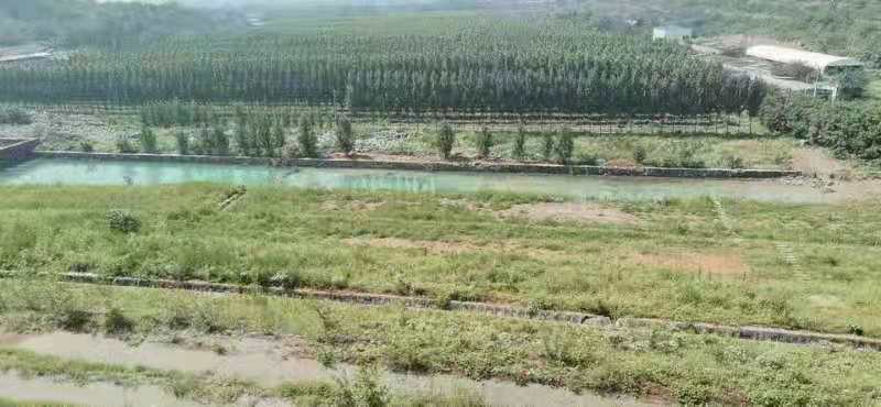 任凭狂风暴雨，我自稳如磐石——公司磷石膏堆场经受住了暴雨的洗礼